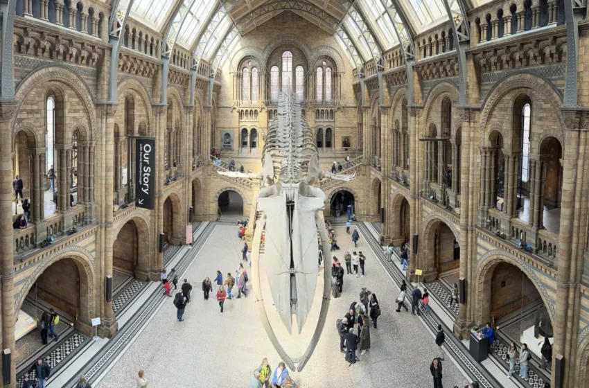 Hintze Hall, salão principal do Museu de História Natural de Londres