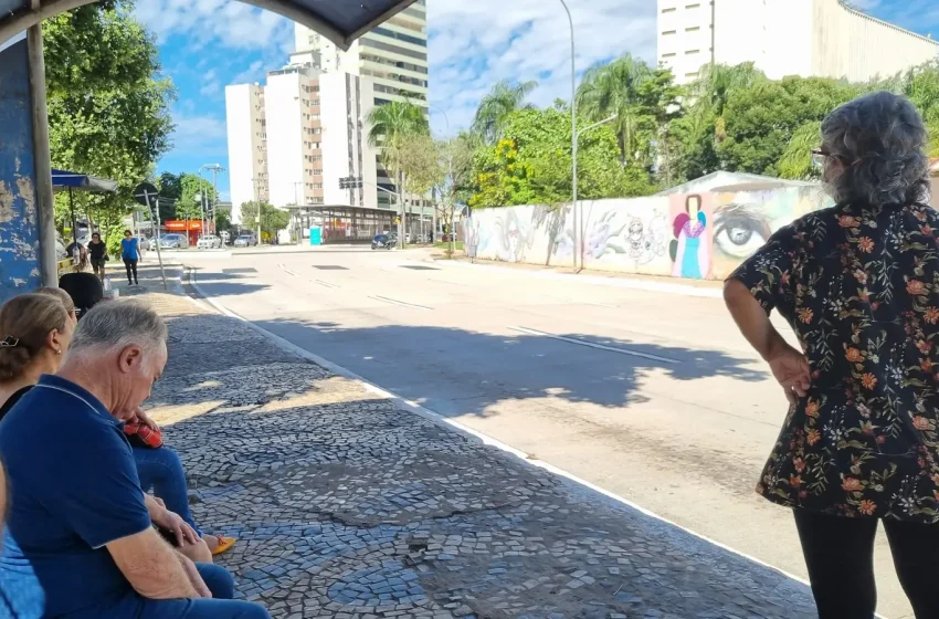 Aniversário de Goiânia: 33 linhas de ônibus mudam de rota até domingo