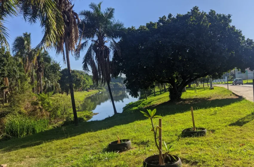Parque Santa Leonor, em Penápolis