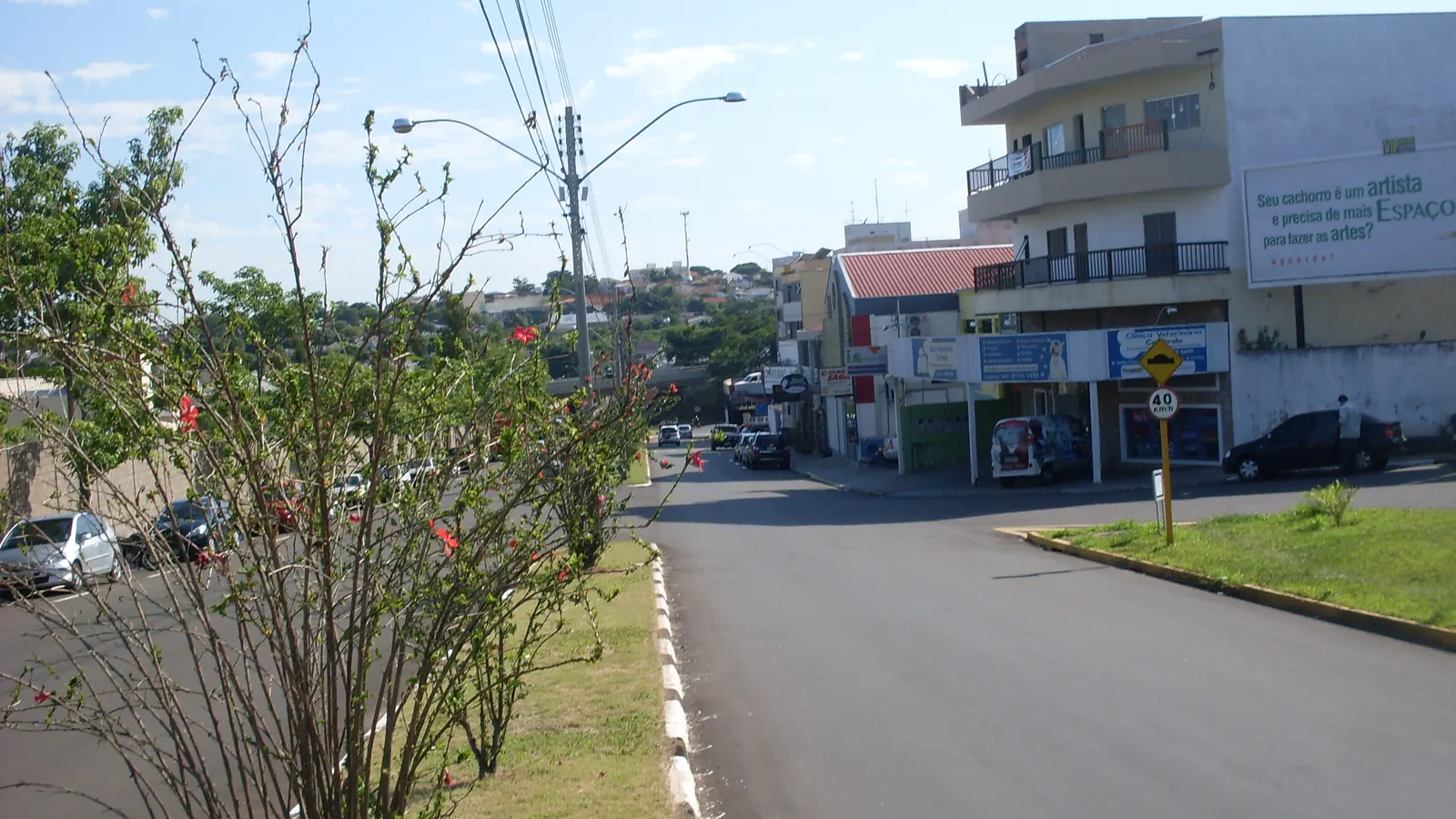 Avenida no Jardim Alto da Boa Vista, em Presidente Prudente